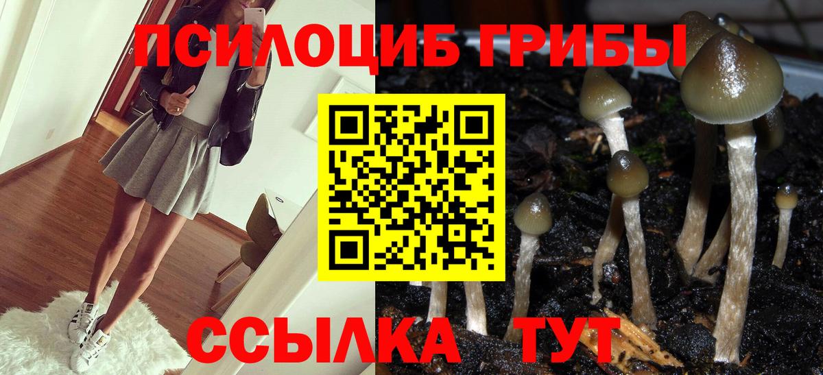 Галлюциногенные грибы Magic Shrooms Димитровград